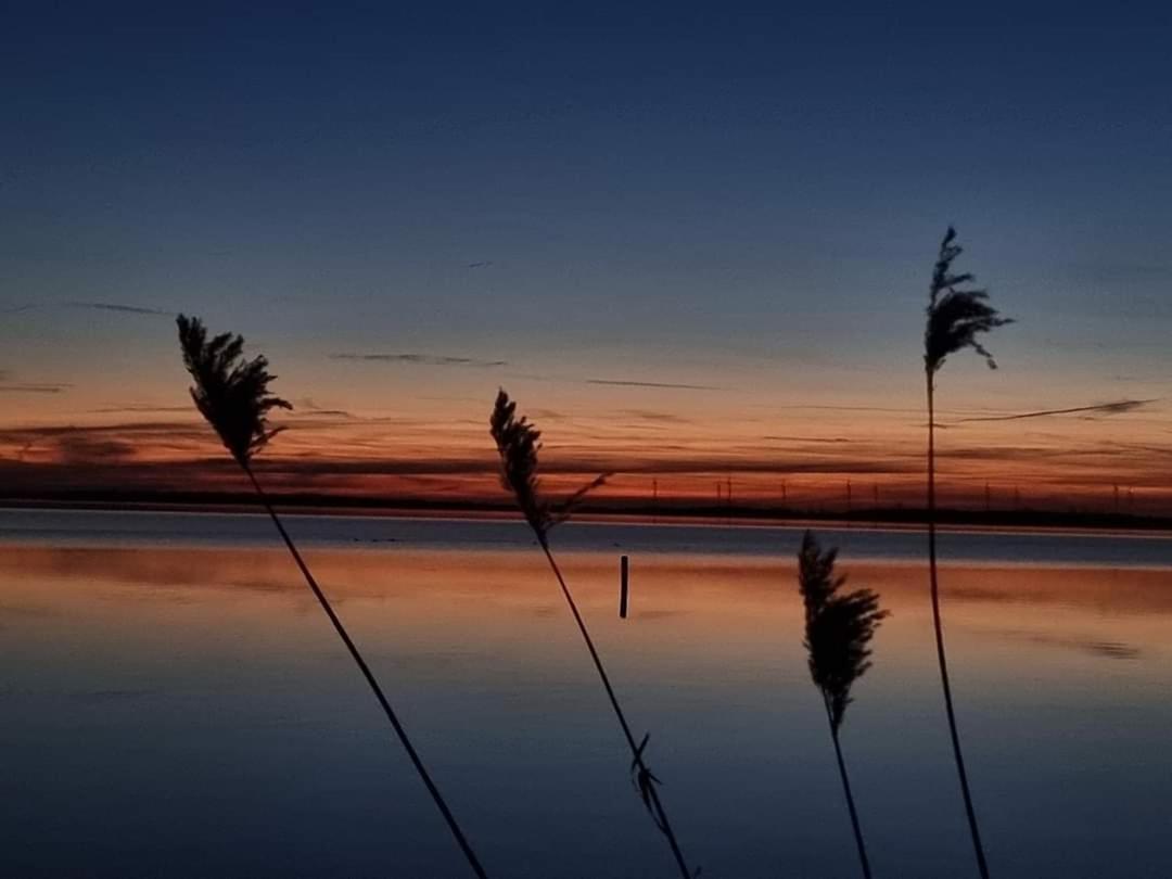 Duemmerliebe Mit Garten, 10 Min. Fusslaeufig Zum See Hude  Bagian luar foto