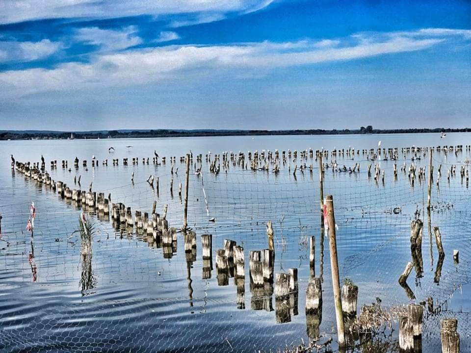 Duemmerliebe Mit Garten, 10 Min. Fusslaeufig Zum See Hude  Bagian luar foto